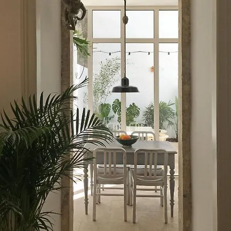 The Monkey Flat