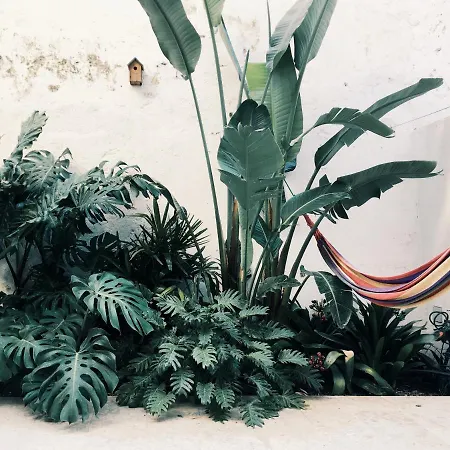 The Monkey Flat * Лиссабон