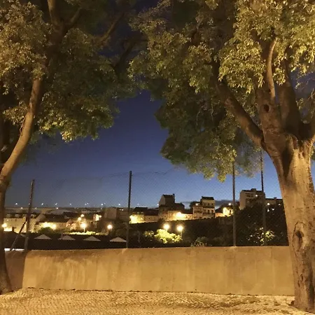 The Monkey Flat Daire *