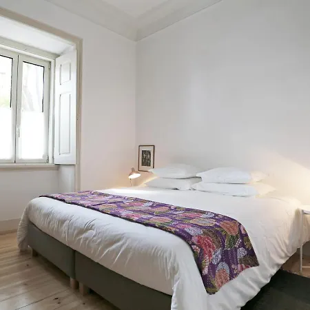 Daire The Monkey Flat *