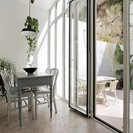 Daire The Monkey Flat *