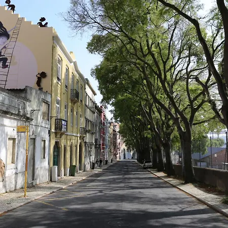 The Monkey Flat * Лиссабон