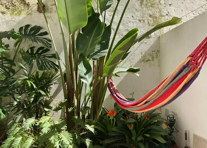 Apartment The Monkey Flat *